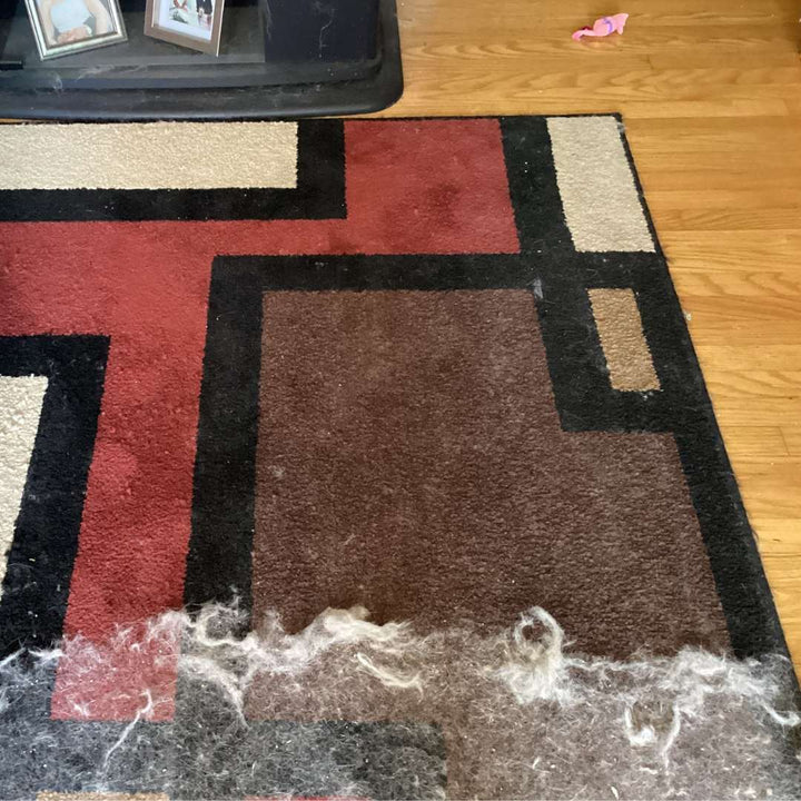 Removedor de pelo Pro™ para mascotas (Oferta 2x1 Sólo Hoy)